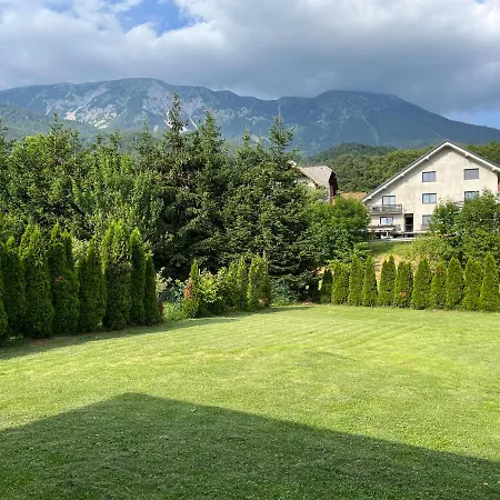 Malivojevic * Zirovnica