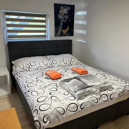 Malivojevic Apartament Zirovnica