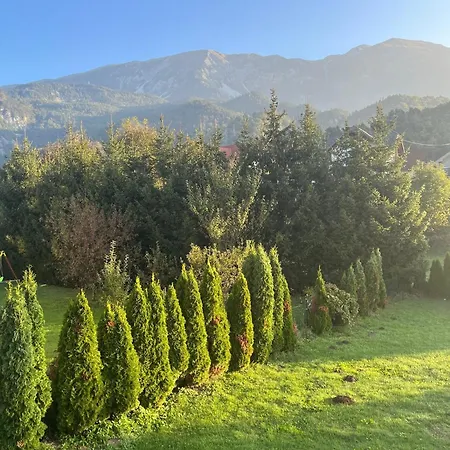 Malivojevic Διαμέρισμα Zirovnica