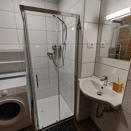 Malivojevic Apartment Zirovnica