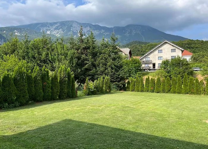 Malivojevic * Zirovnica