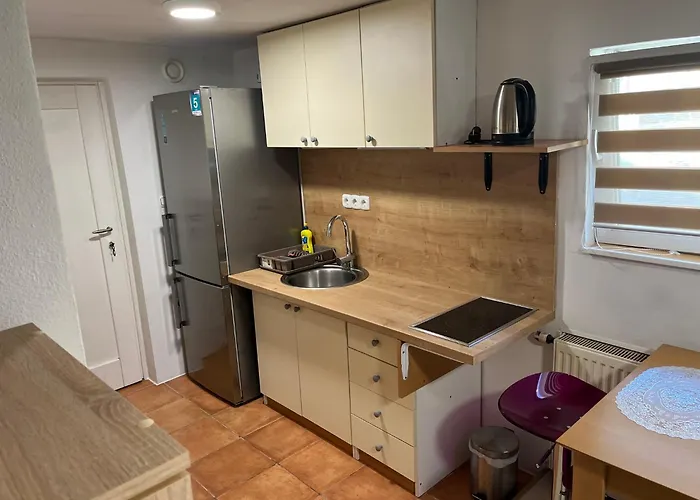 Malivojevic Zirovnica