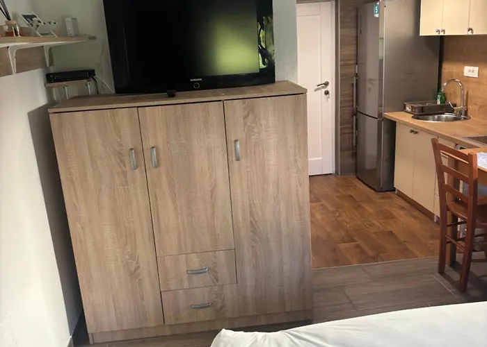 Apartment Malivojevic Zirovnica