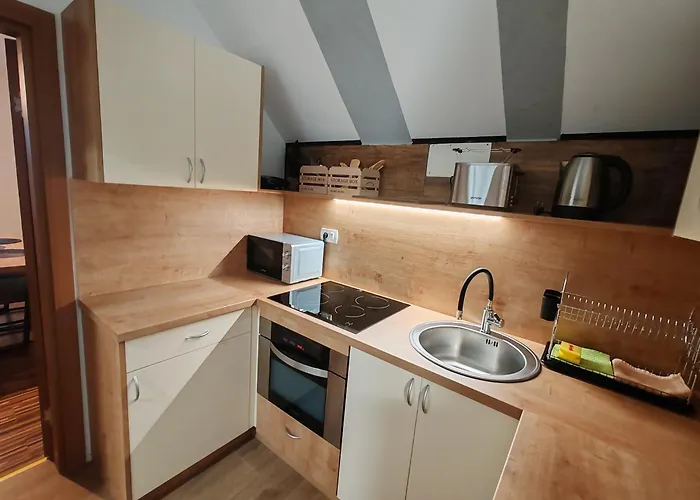 Malivojevic Apartment Zirovnica